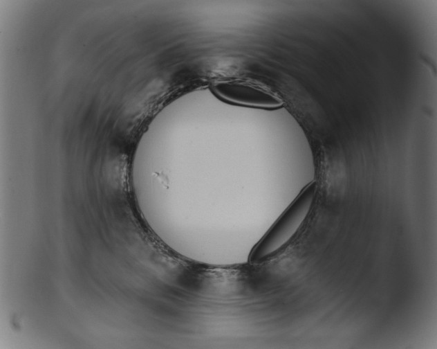 X0000103400328200809261626