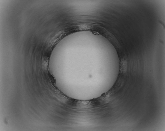 X0000103400329200809261626