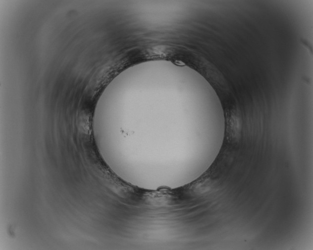 X0000103400331200809261626