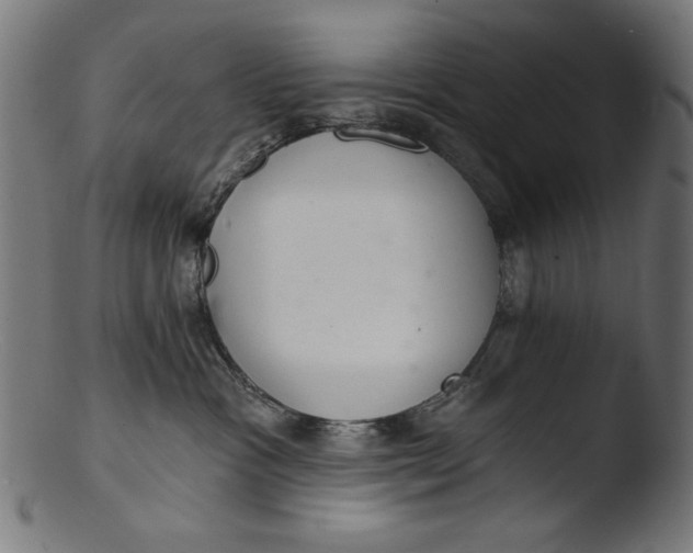 X0000103400333200809261625