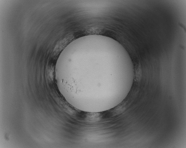 X0000103400334200809261625