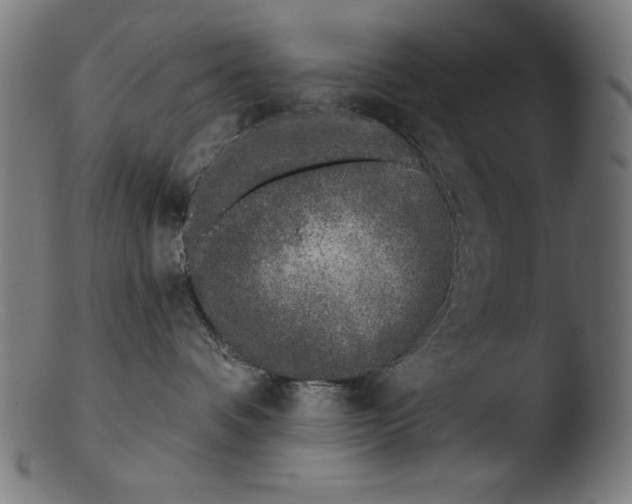 X0000103400336200809261625