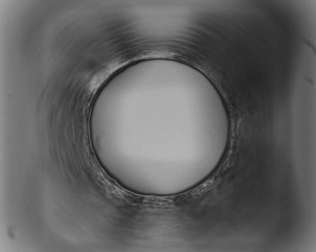 X0000103400337200809261625