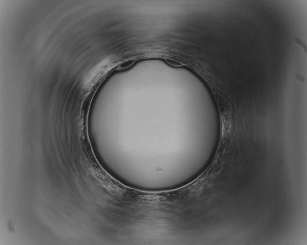 X0000103400339200809261625