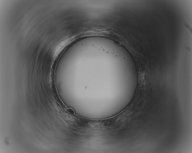 X0000103400340200809261625