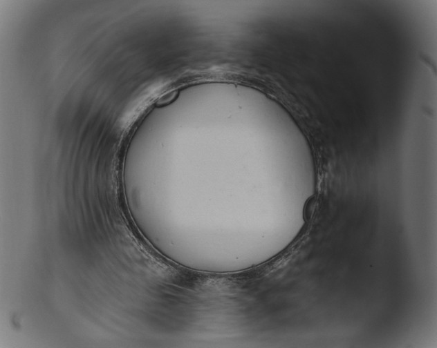 X0000103400341200809261625