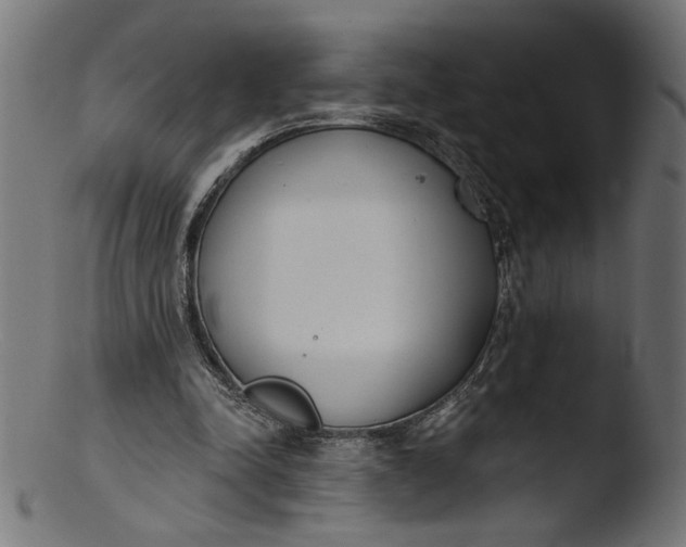 X0000103400342200809261625