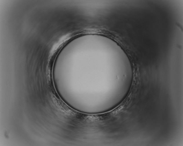 X0000103400343200809261625