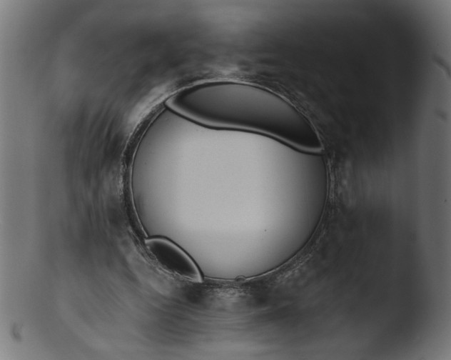 X0000103400344200809261625