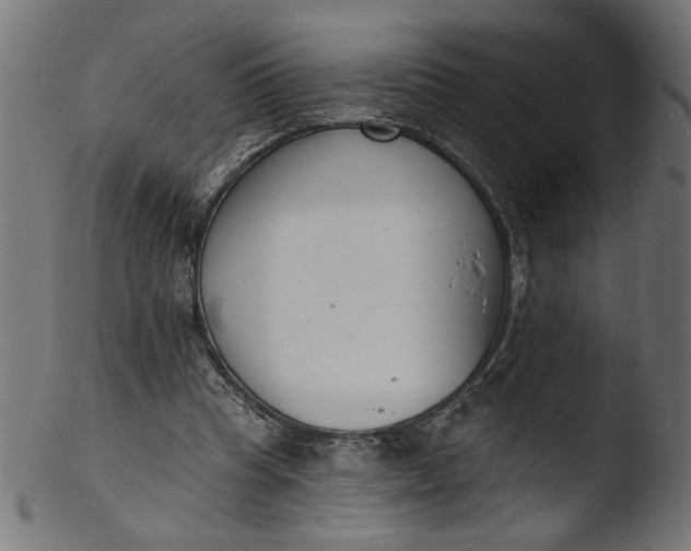 X0000103400345200809261625