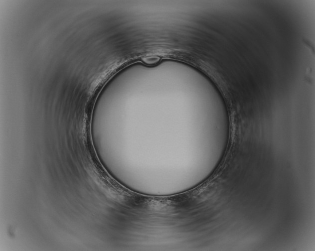 X0000103400346200809261625