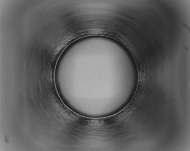 X0000103400347200809261625