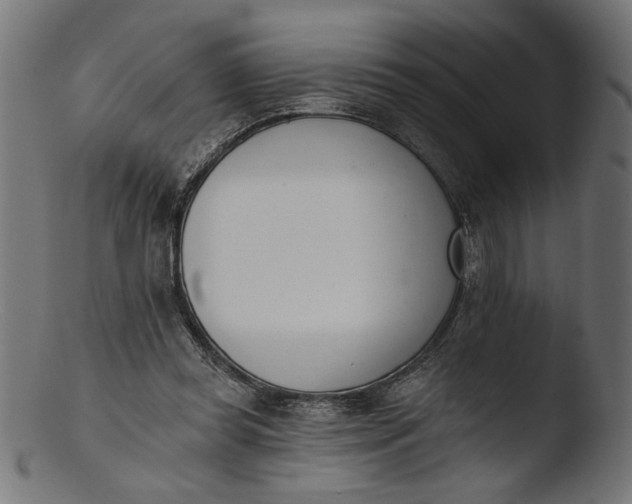 X0000103400349200809261625