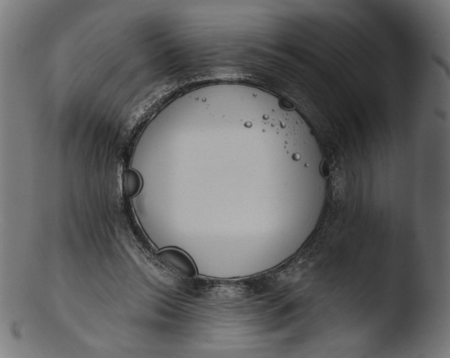 X0000103400350200809261625