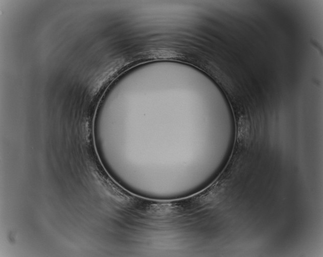 X0000103400351200809261625