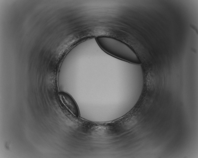 X0000103400352200809261625