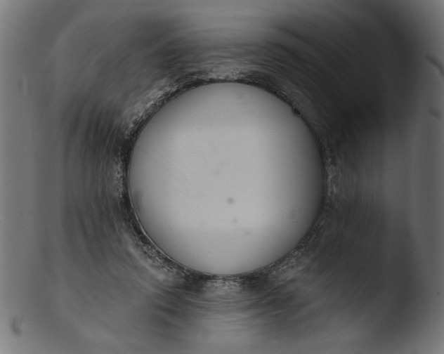 X0000103400354200809261625