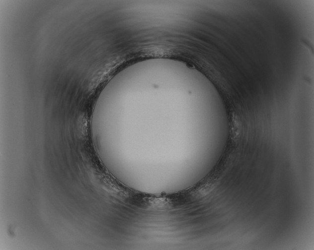 X0000103400355200809261625