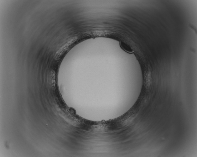 X0000103400356200809261625