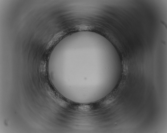 X0000103400357200809261625