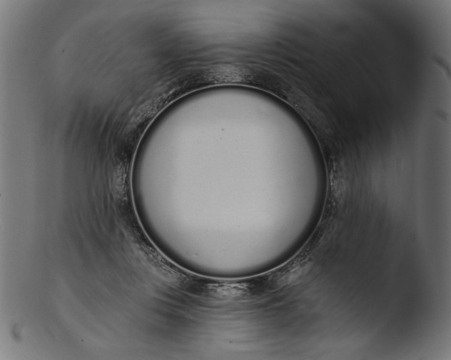 X0000103400359200809261625