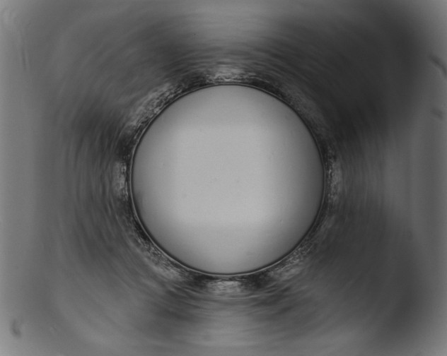 X0000103400361200809261625