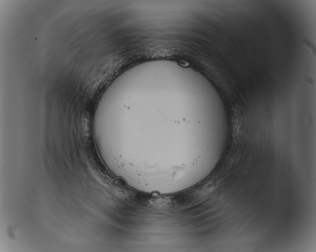 X0000103400362200809261625