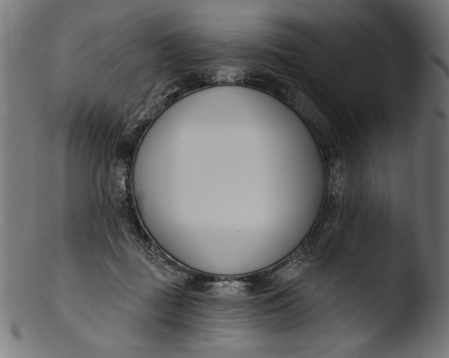 X0000103400363200809261625