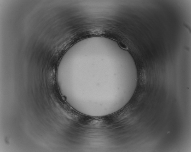 X0000103400364200809261625