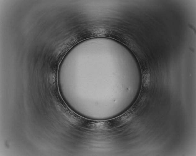 X0000103400365200809261625