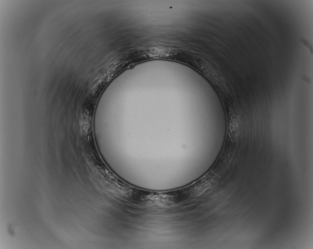 X0000103400367200809261625