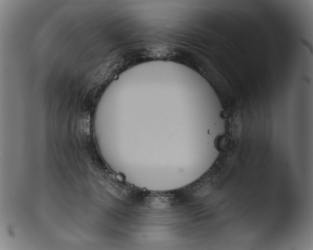 X0000103400368200809261625