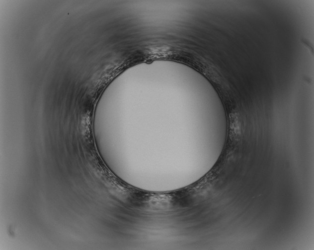 X0000103400369200809261625