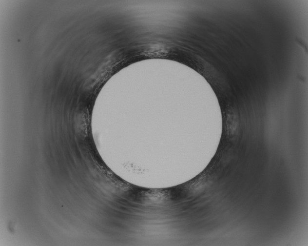 X0000103400370200809261625