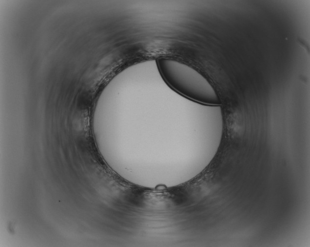 X0000103400372200809261625