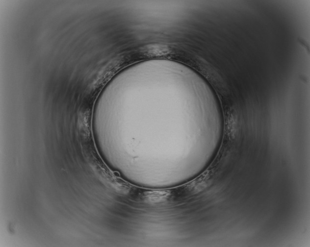 X0000103400373200809261625