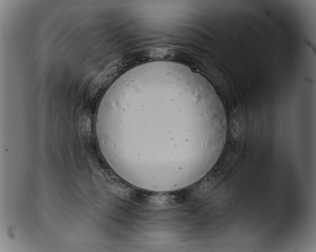 X0000103400375200809261625