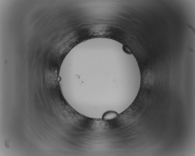 X0000103400376200809261625