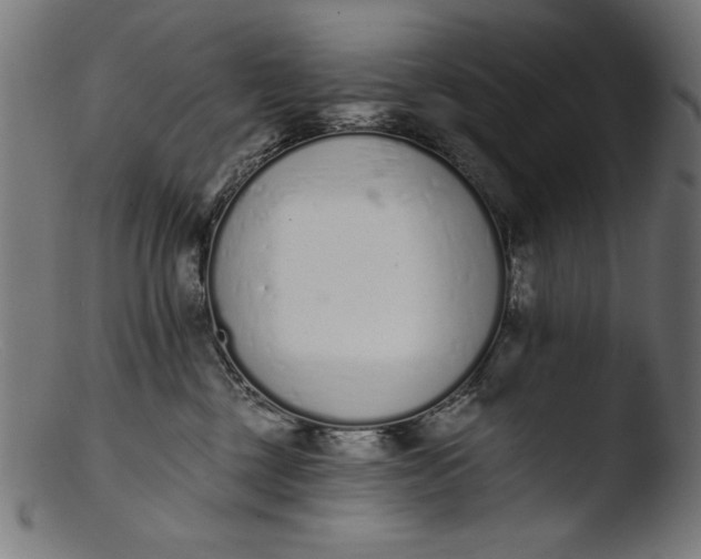 X0000103400377200809261625