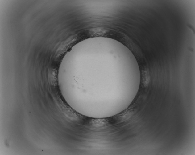 X0000103400378200809261625