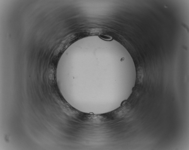 X0000103400379200809261625