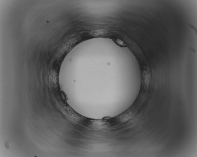 X0000103400380200809261625