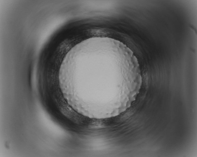 X0000103400381200809261625