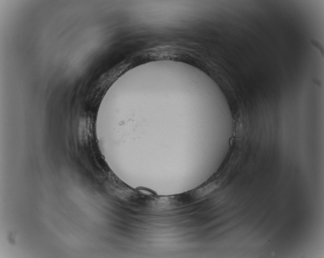 X0000103400382200809261625