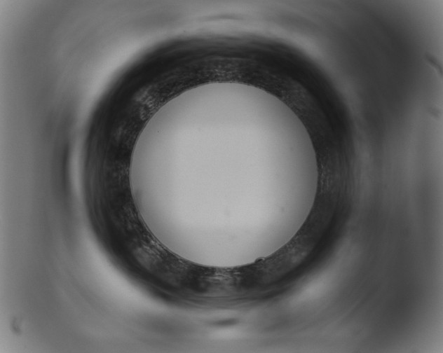 X0000103400383200809261625