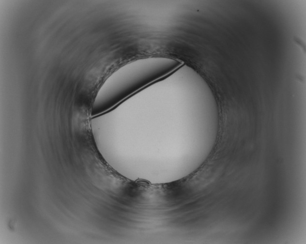 X0000103400384200809261625