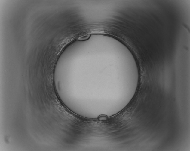 X0000103400385200809261625