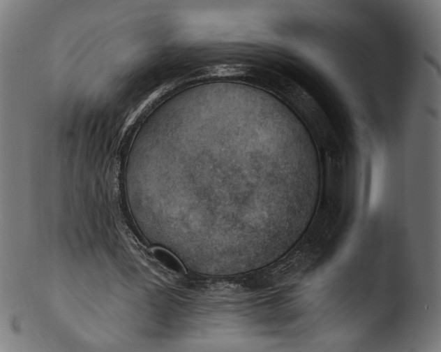 X0000103400387200809261625