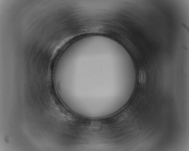 X0000103400388200809261625