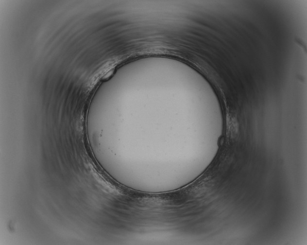 X0000103400389200809261625